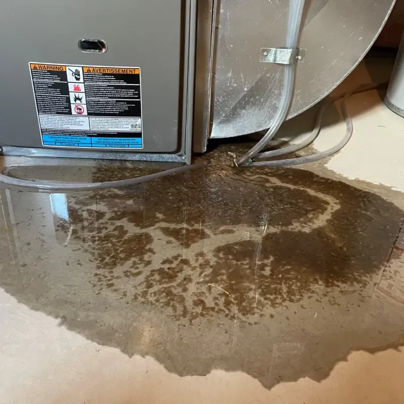 Appliance Leak Cleanup in Kingston, WA